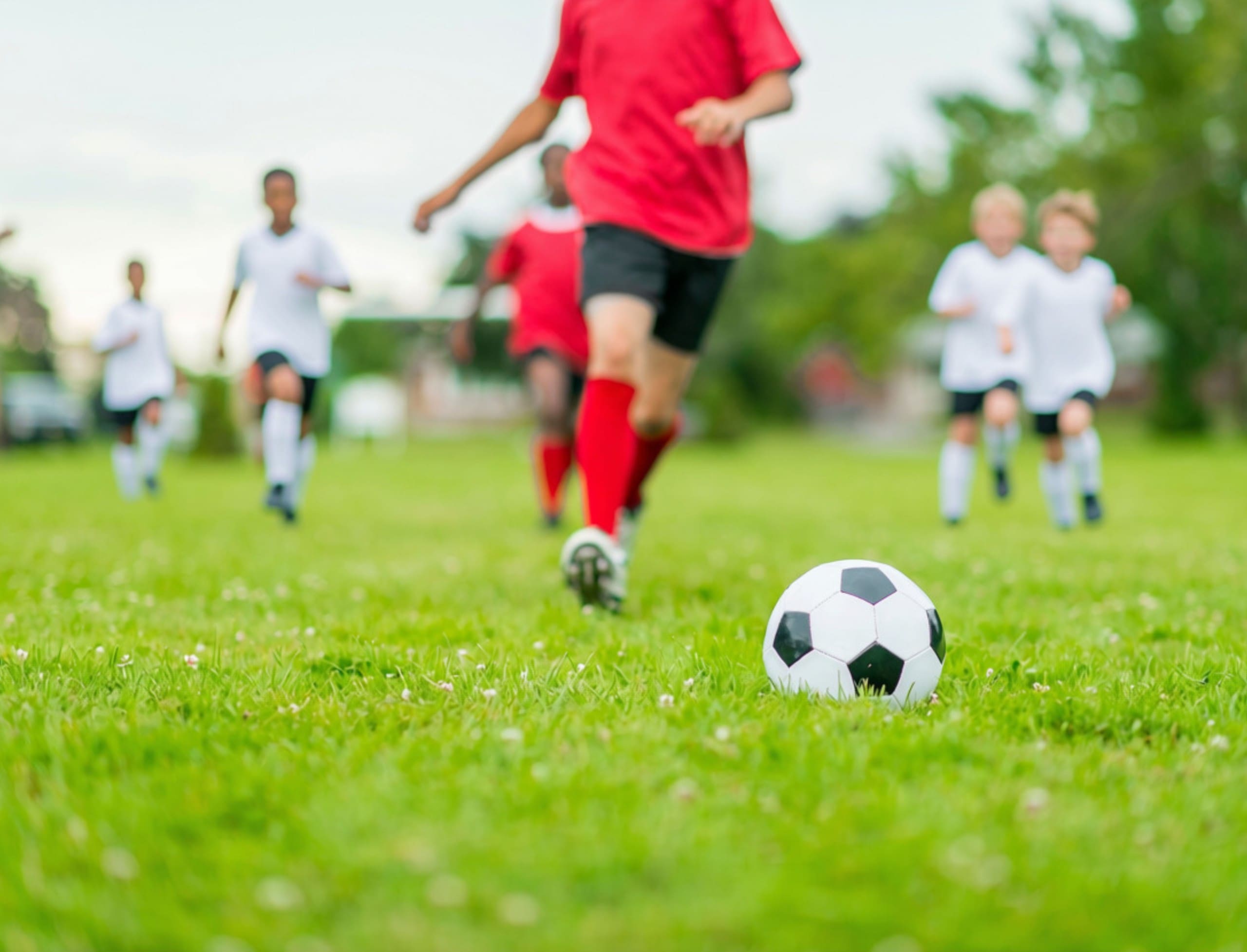 Rec Soccer Fall 2026